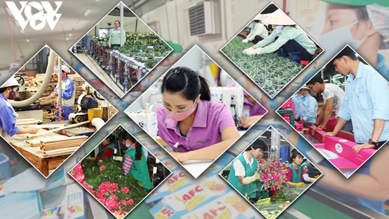 COVID-19 & Growth scenarios for Vietnam
